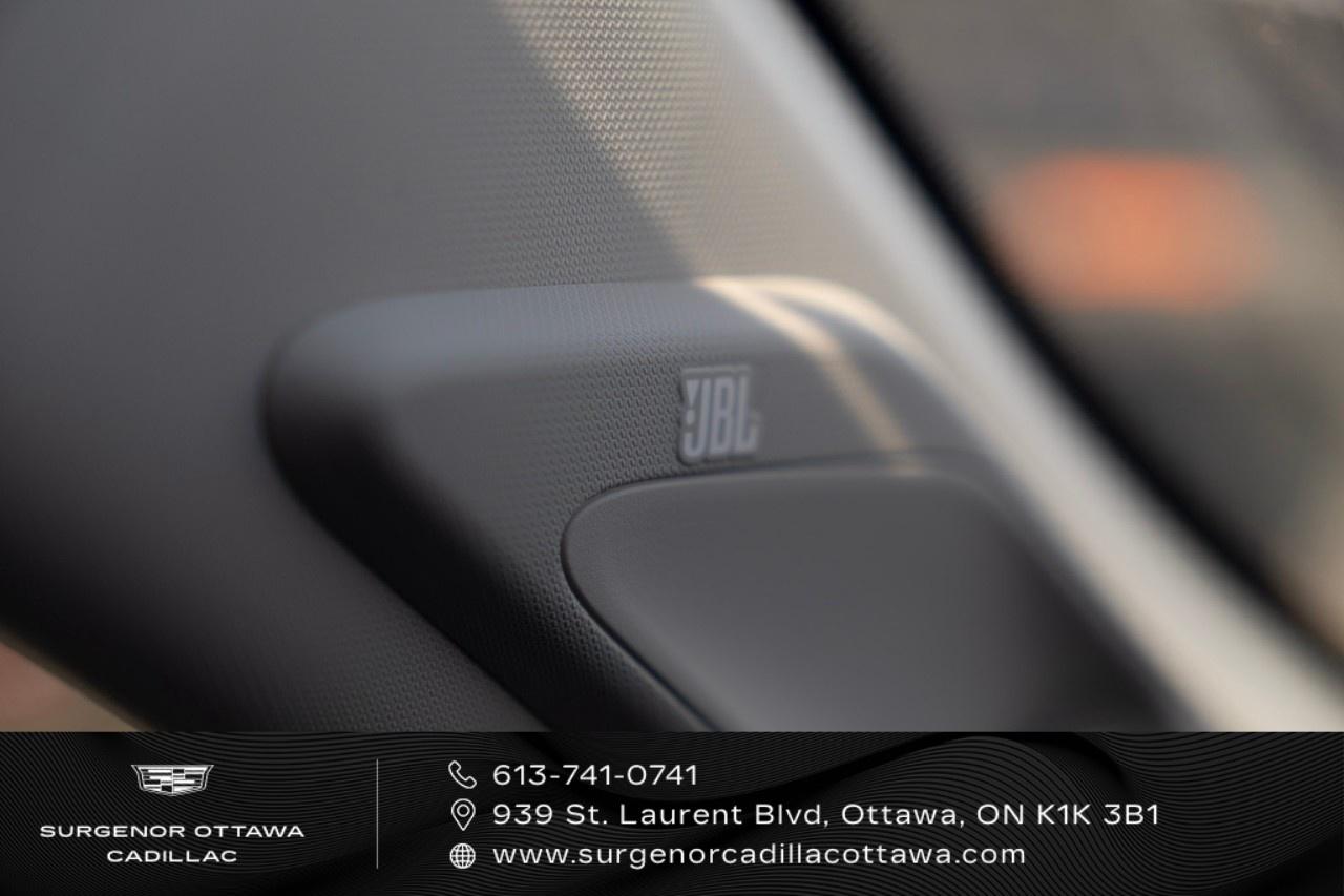 2021 Toyota RAV4 LIMITED AWD Photo