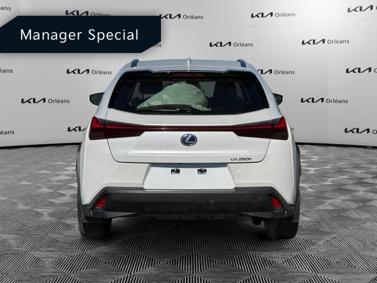 2020 Lexus UX UX 250h CVT Photo