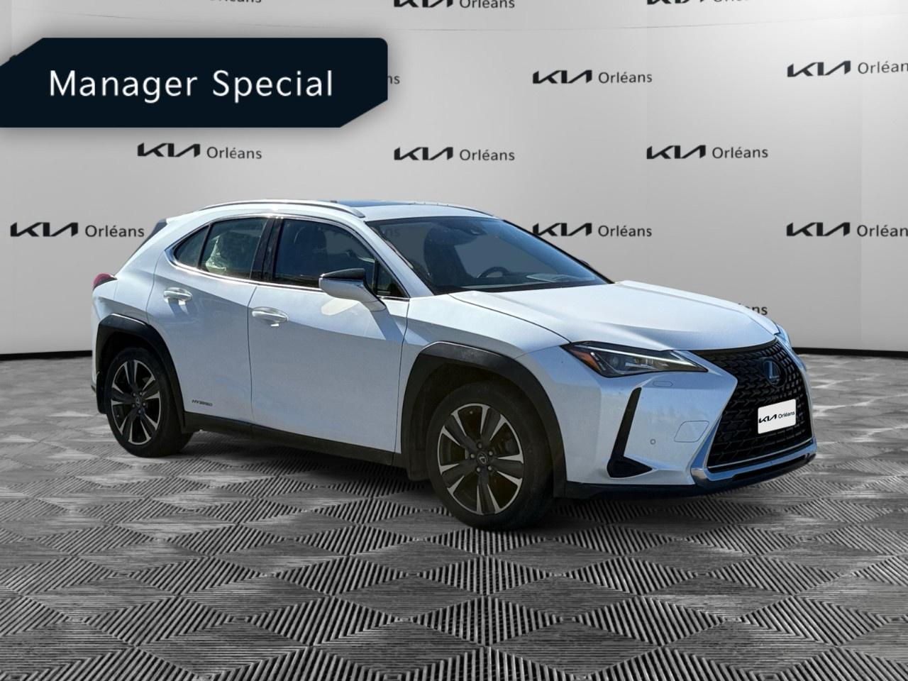 2020 Lexus UX UX 250h CVT Photo