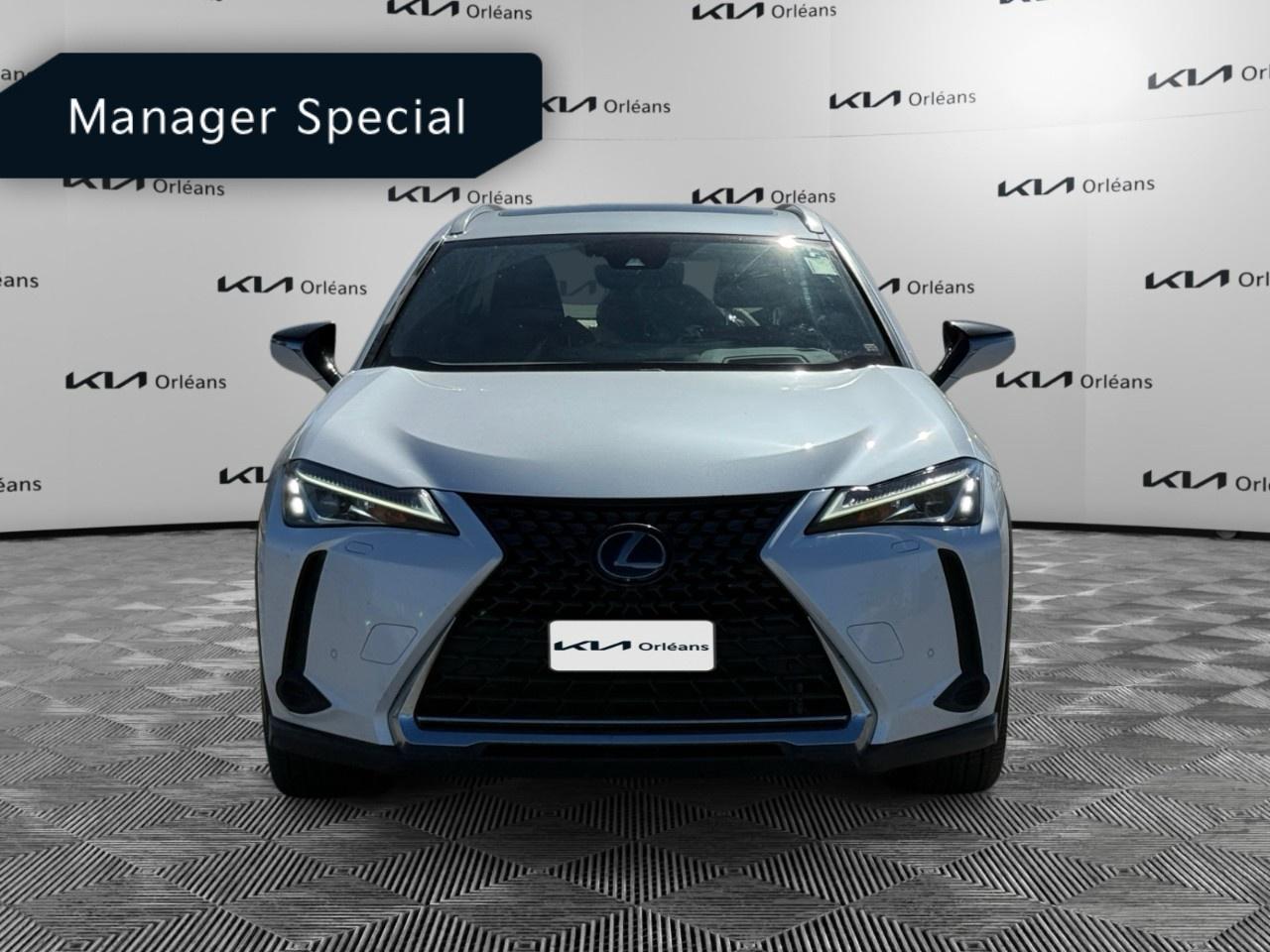 2020 Lexus UX UX 250h CVT Photo