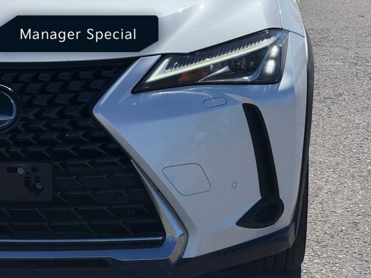 2020 Lexus UX UX 250h CVT Photo