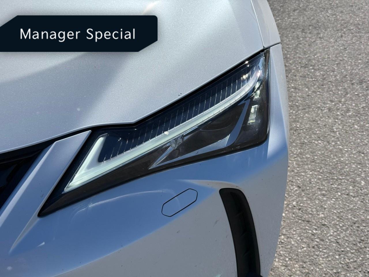 2020 Lexus UX UX 250h CVT Photo