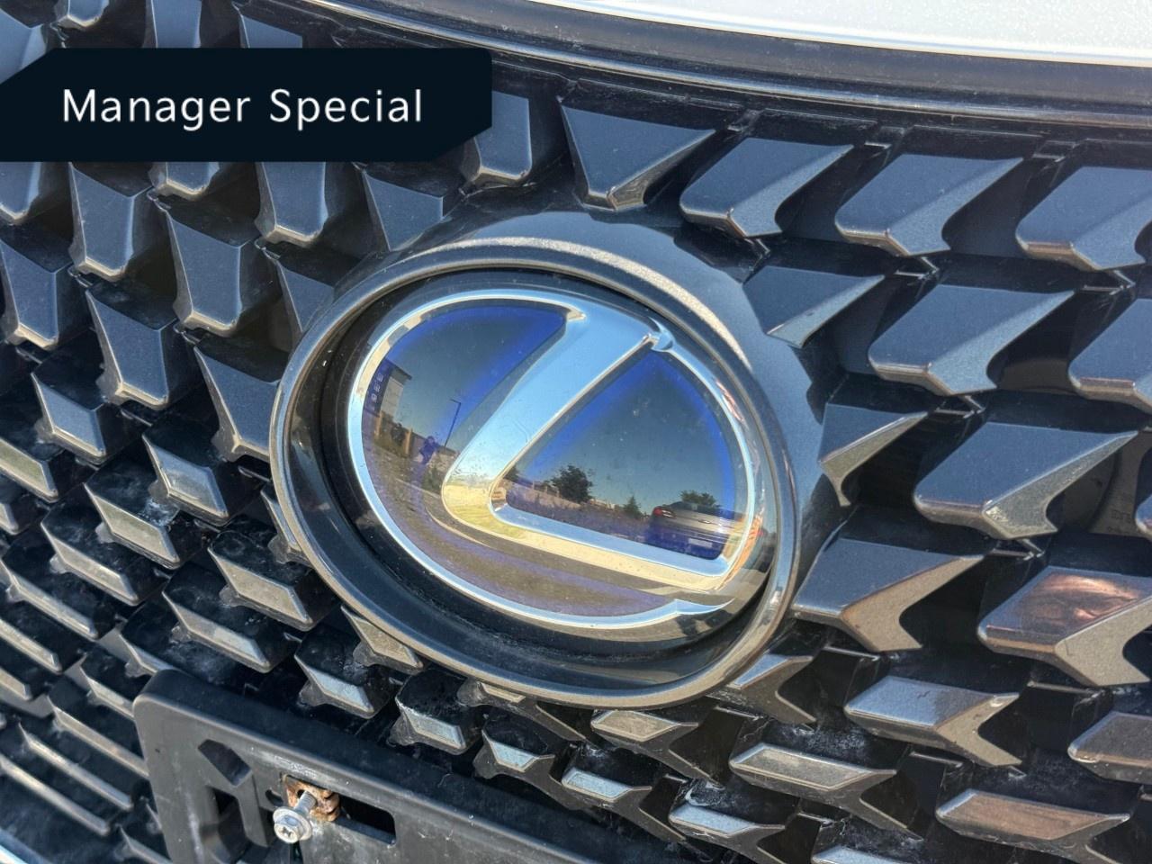 2020 Lexus UX UX 250h CVT Photo