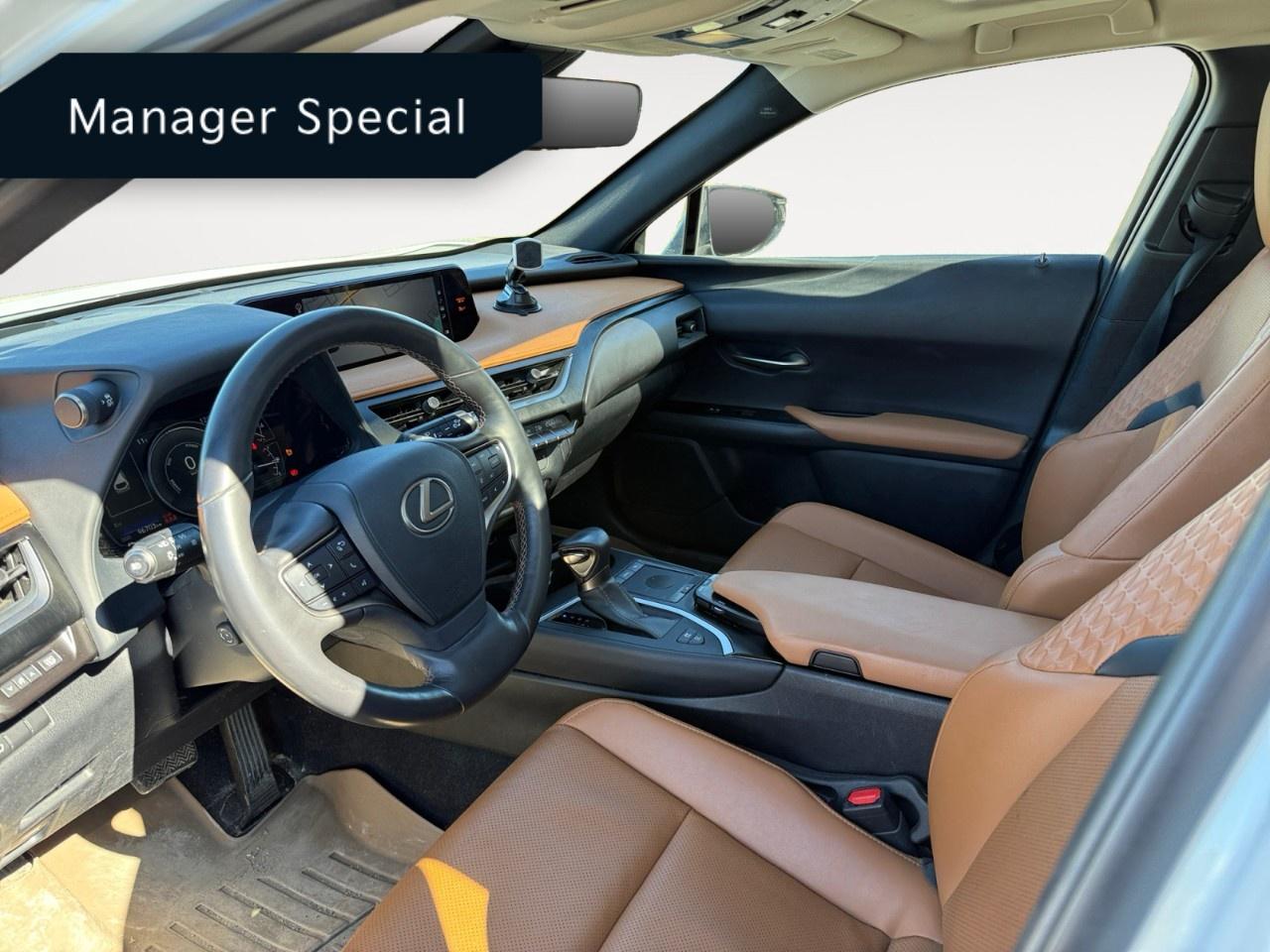 2020 Lexus UX UX 250h CVT Photo
