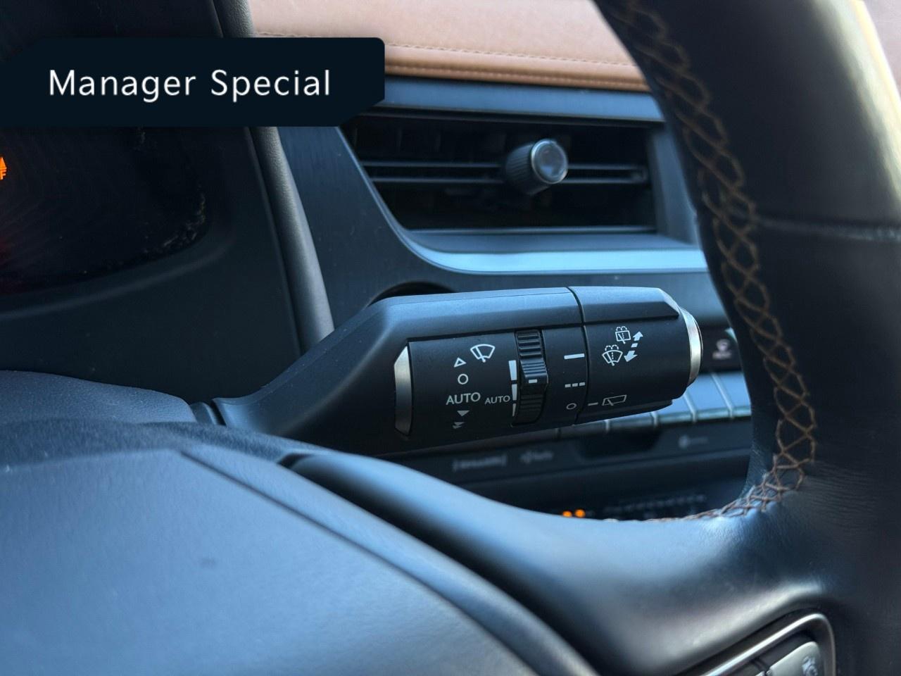 2020 Lexus UX UX 250h CVT Photo