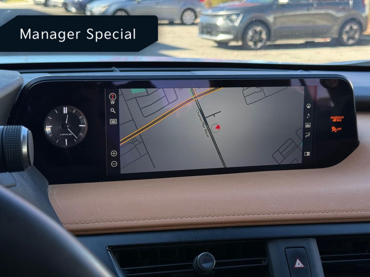 2020 Lexus UX UX 250h CVT Photo