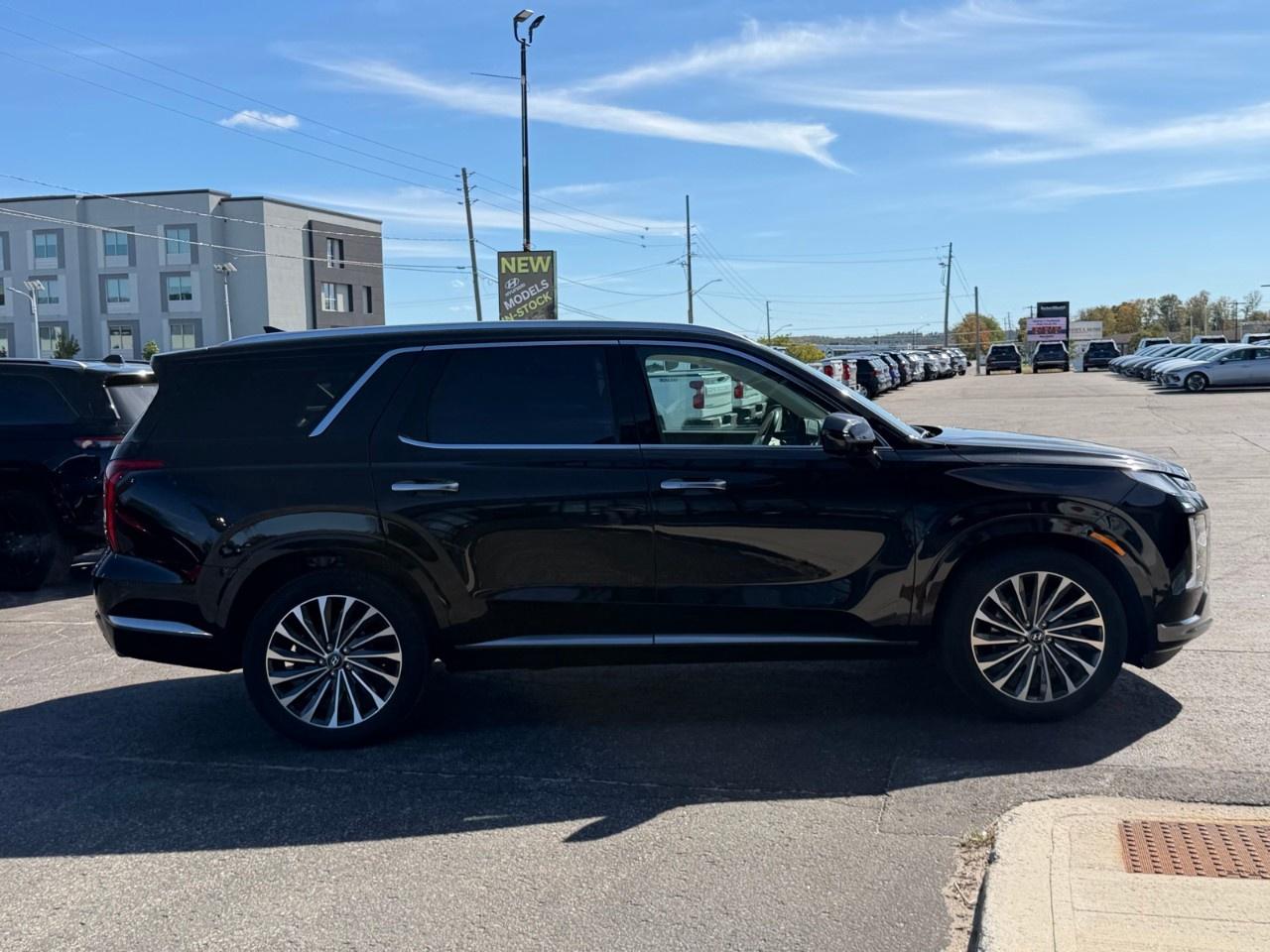 2025 Hyundai PALISADE Ultimate Calligraphy w/Beige 7-Passenger AWD Photo