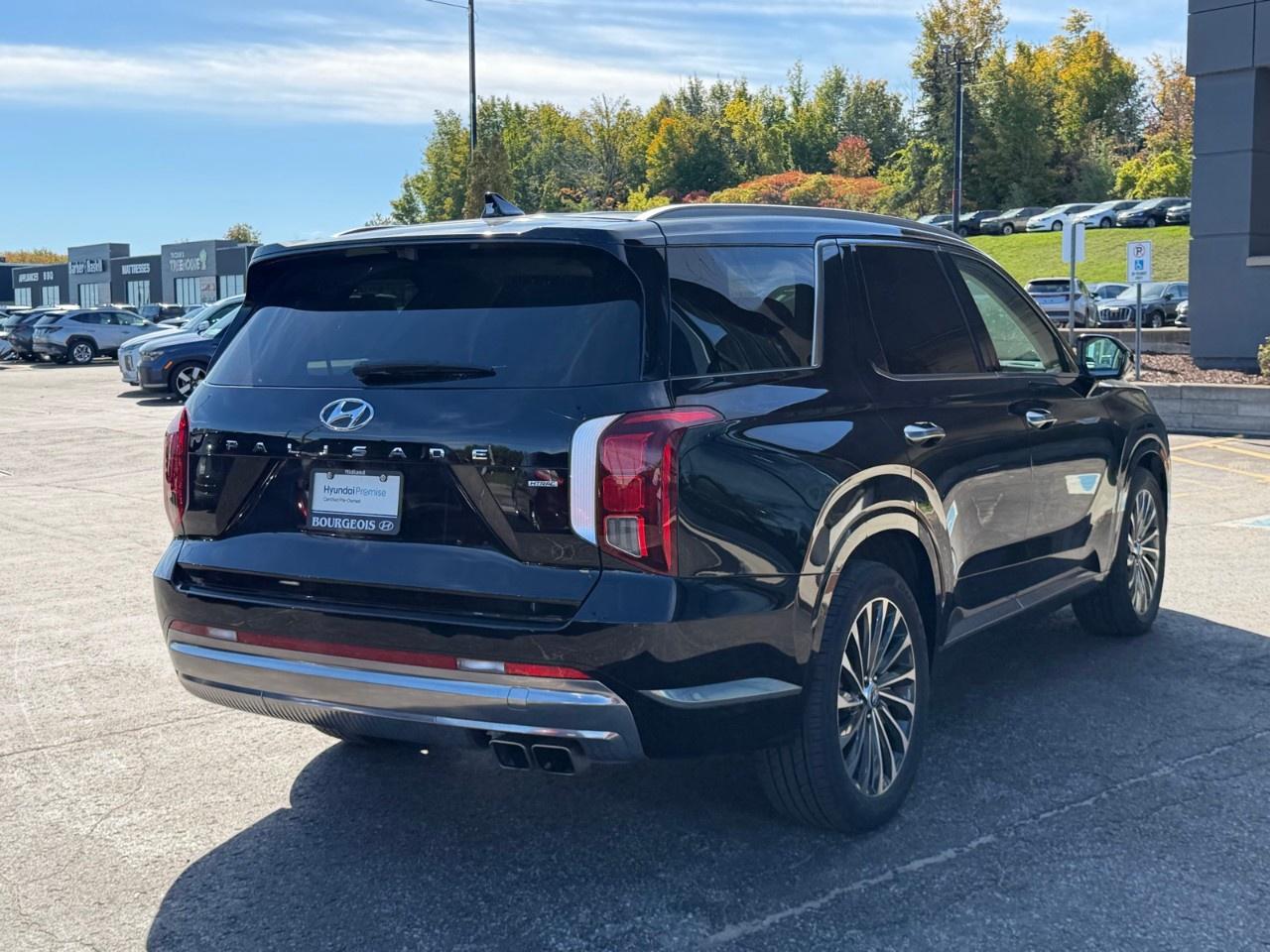 2025 Hyundai PALISADE Ultimate Calligraphy w/Beige 7-Passenger AWD Photo