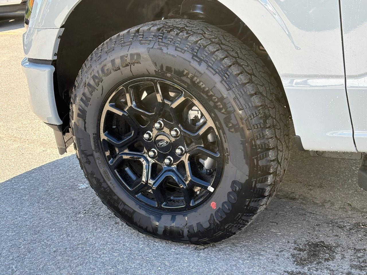 2026 Ford F-150 XLT 4WD SuperCrew 5.5' Box Photo