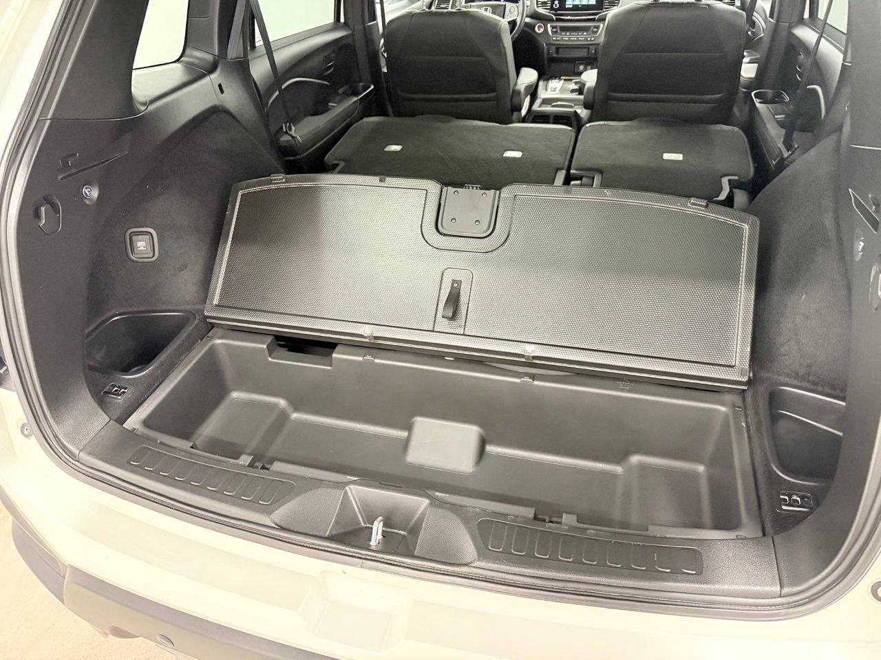 2022 Honda Passport TRAILSPORT Photo