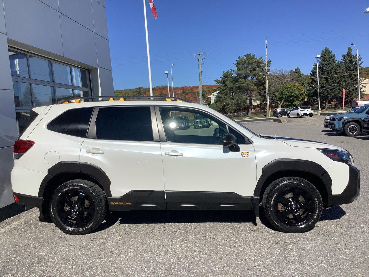 2023 Subaru Forester FORESTER Photo