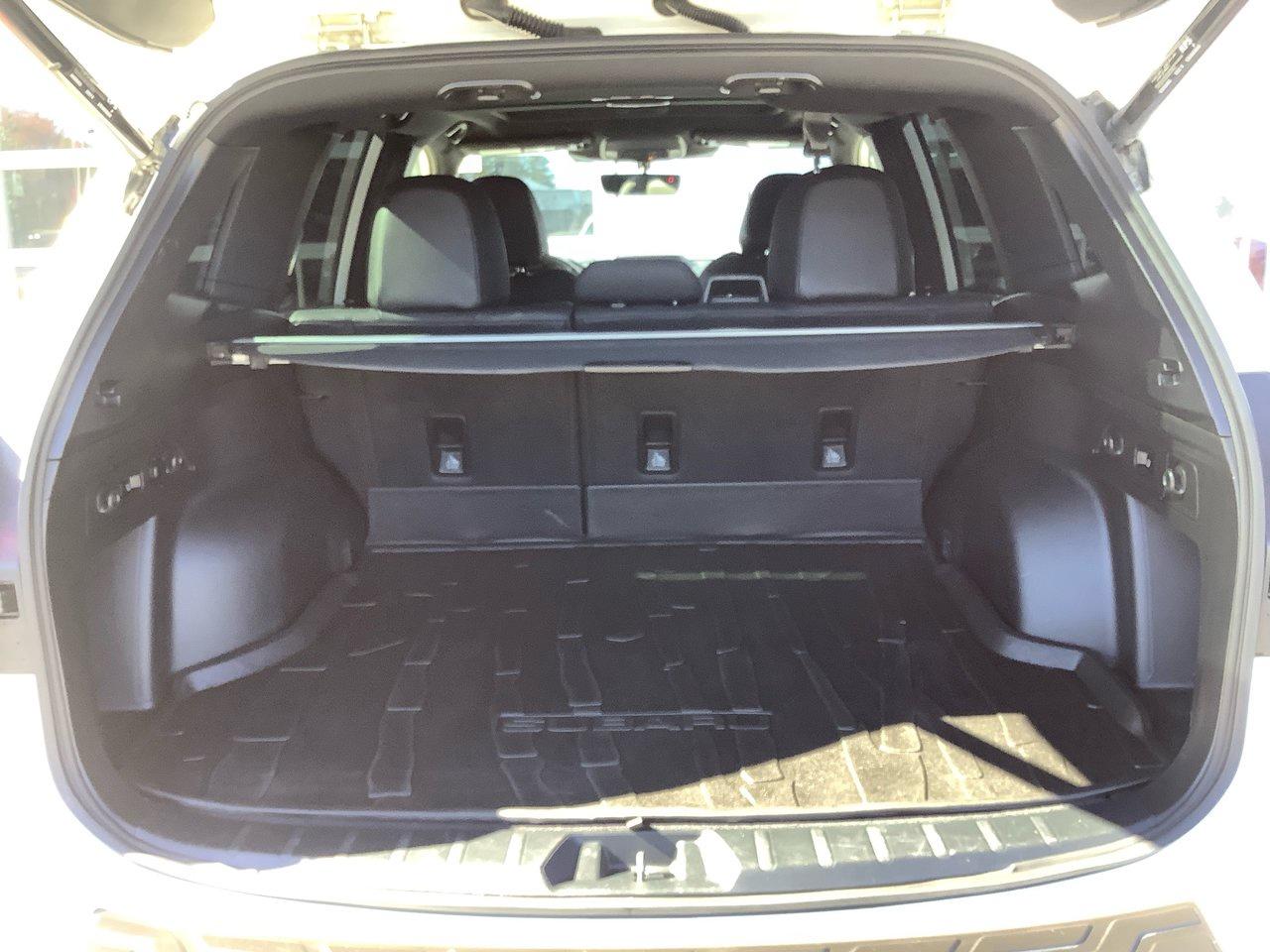 2023 Subaru Forester FORESTER Photo