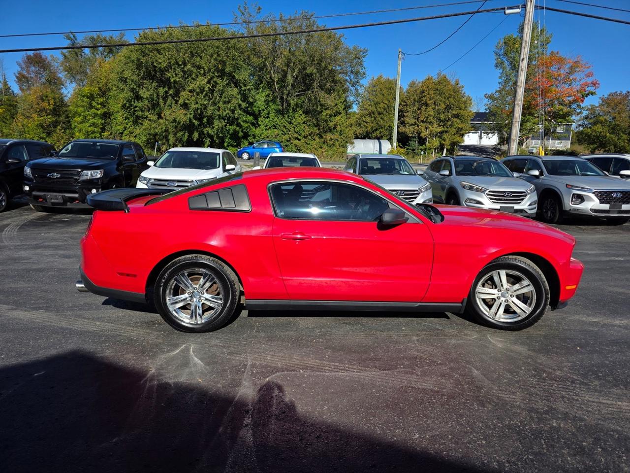 2010 Ford Mustang V6 Photo