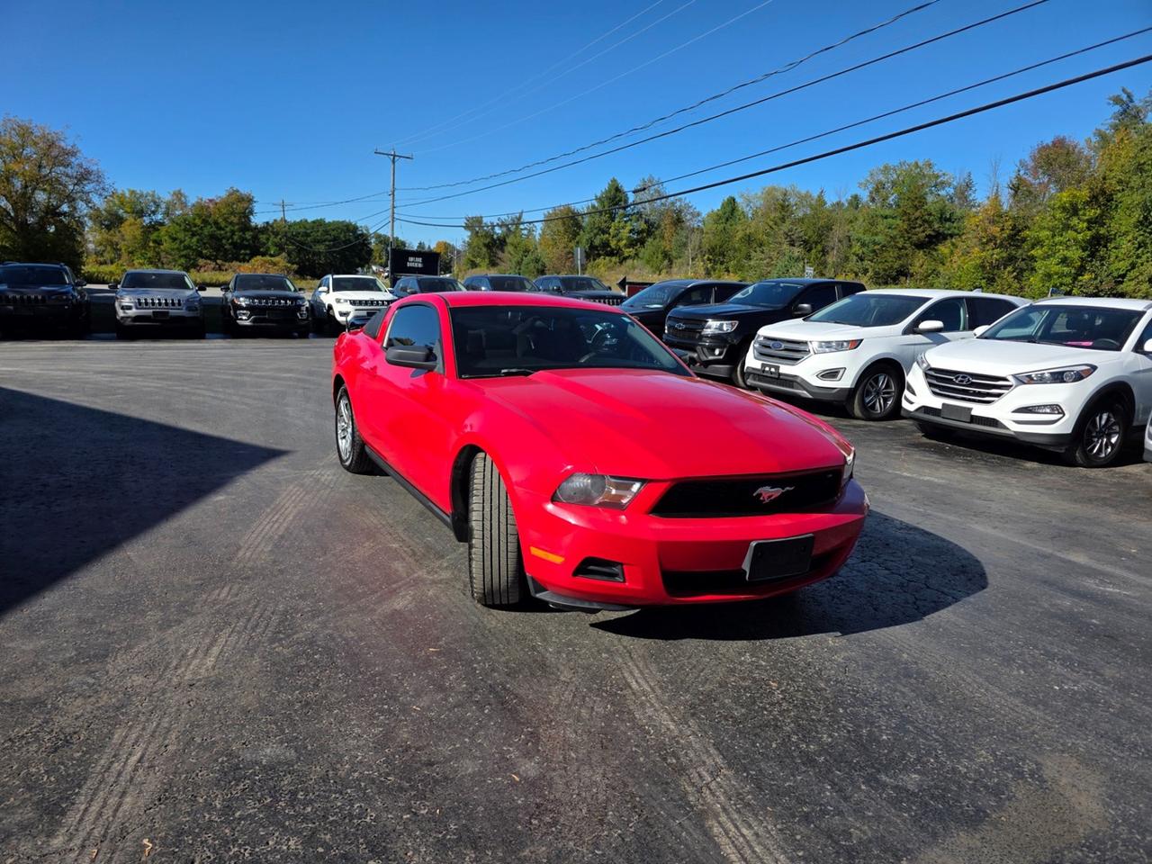 2010 Ford Mustang V6 Photo