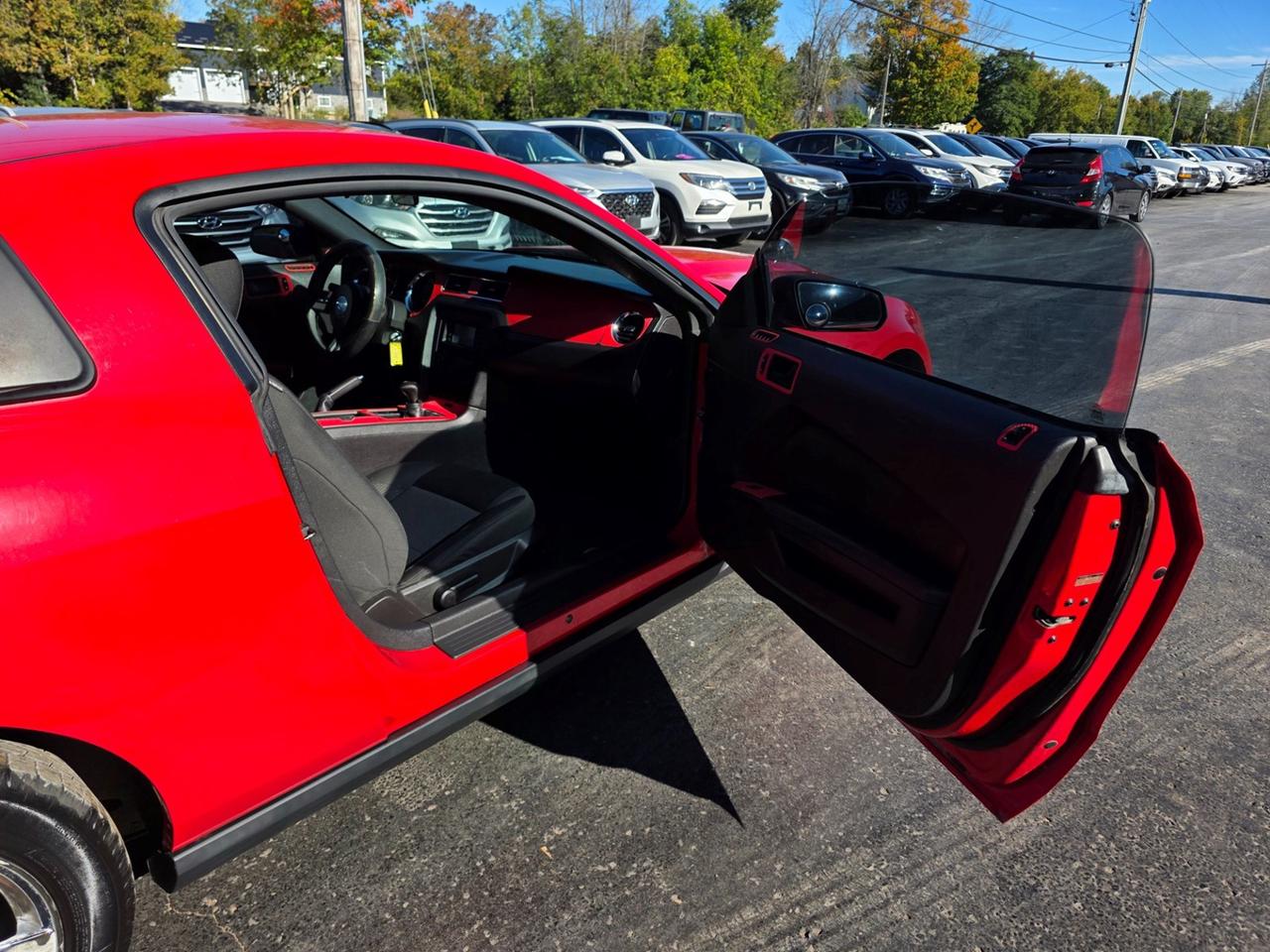 2010 Ford Mustang V6 Photo