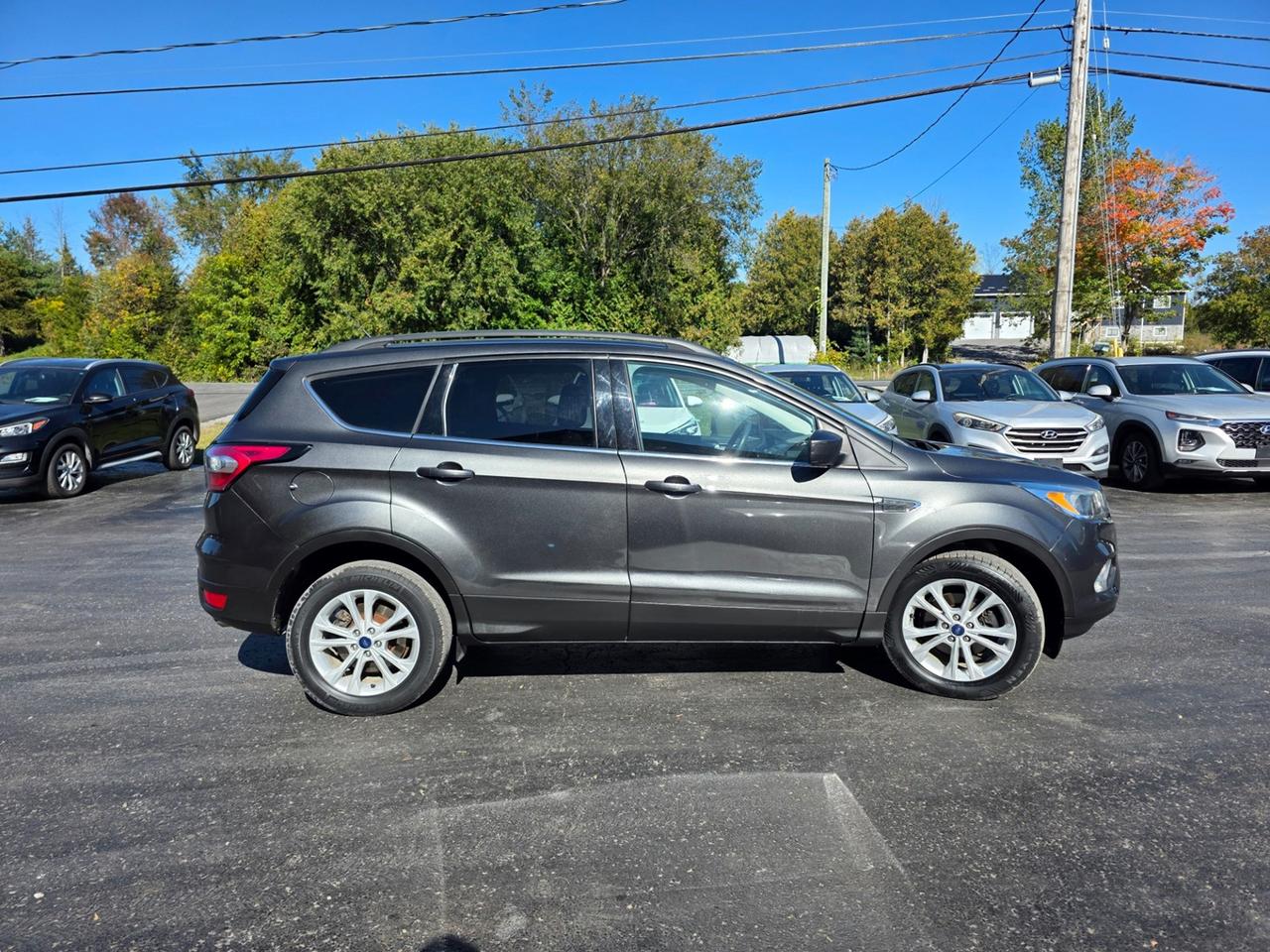 2017 Ford Escape SE Photo