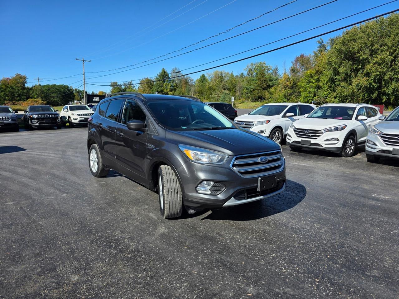 2017 Ford Escape SE Photo