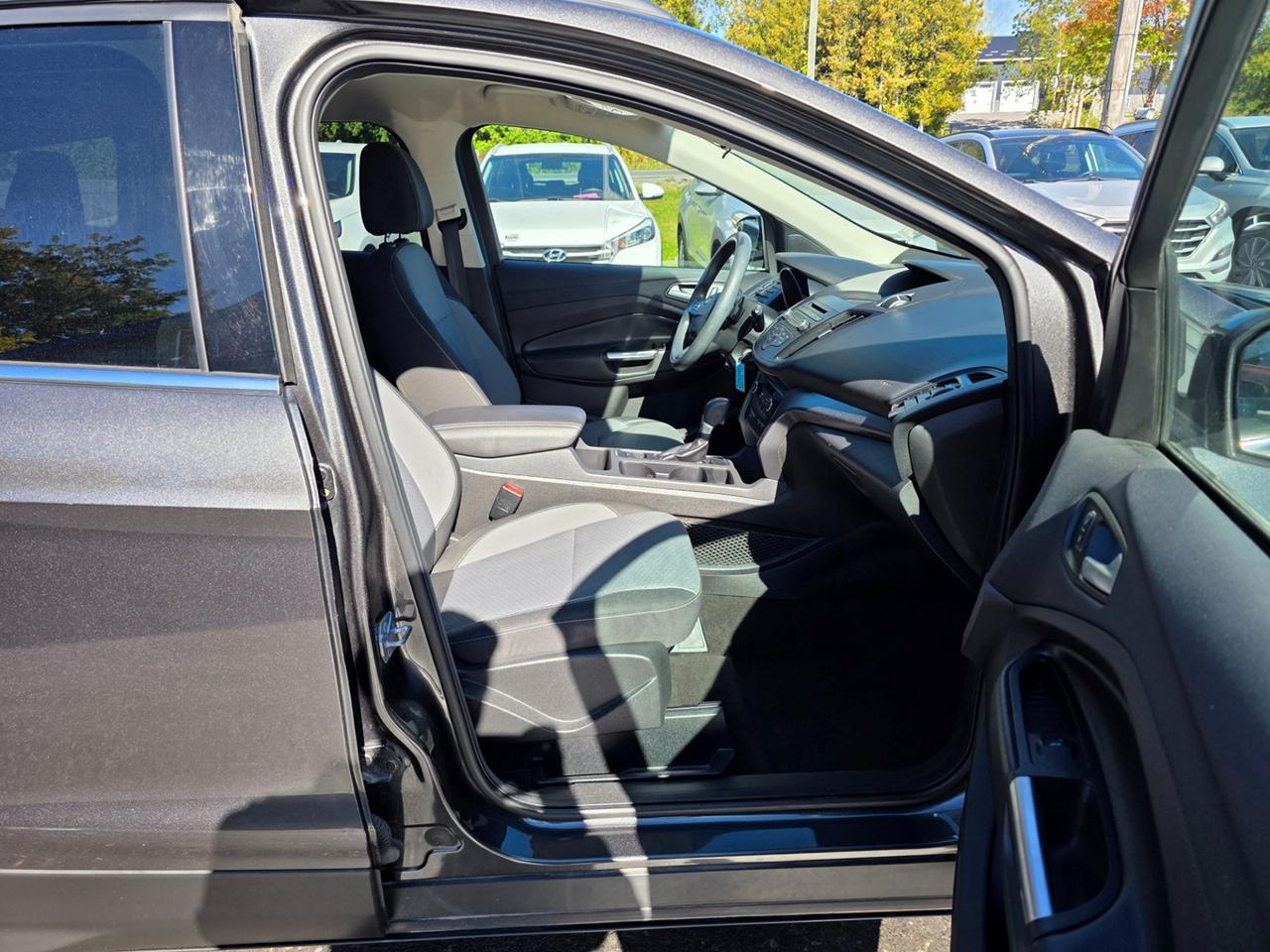 2017 Ford Escape SE Photo