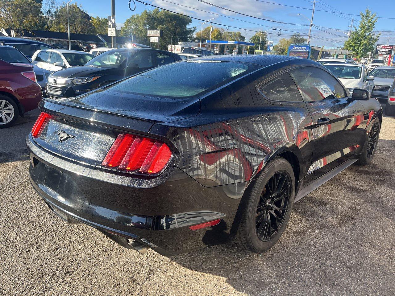 2017 Ford Mustang EcoBoost Photo