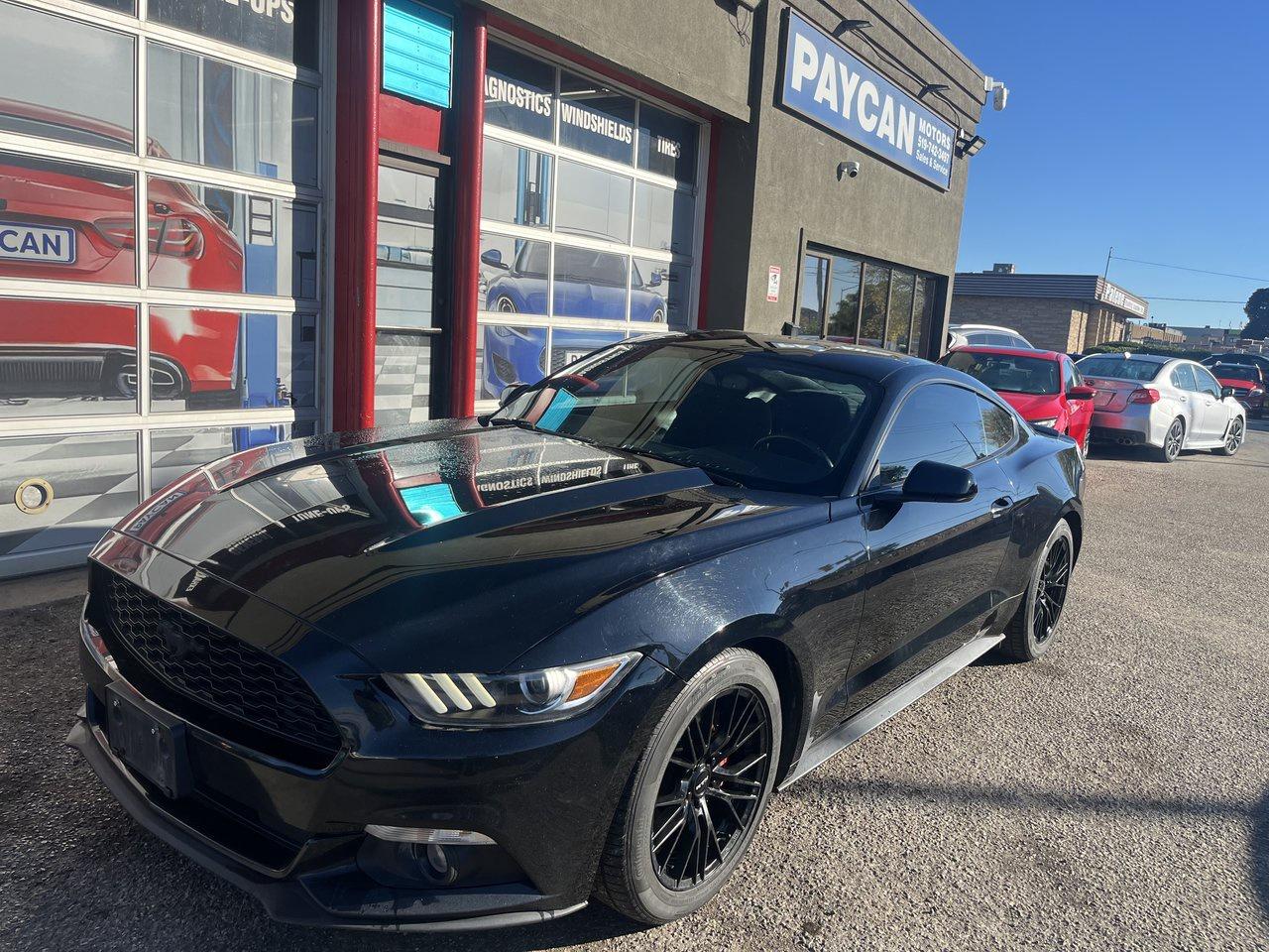 2017 Ford Mustang EcoBoost Photo
