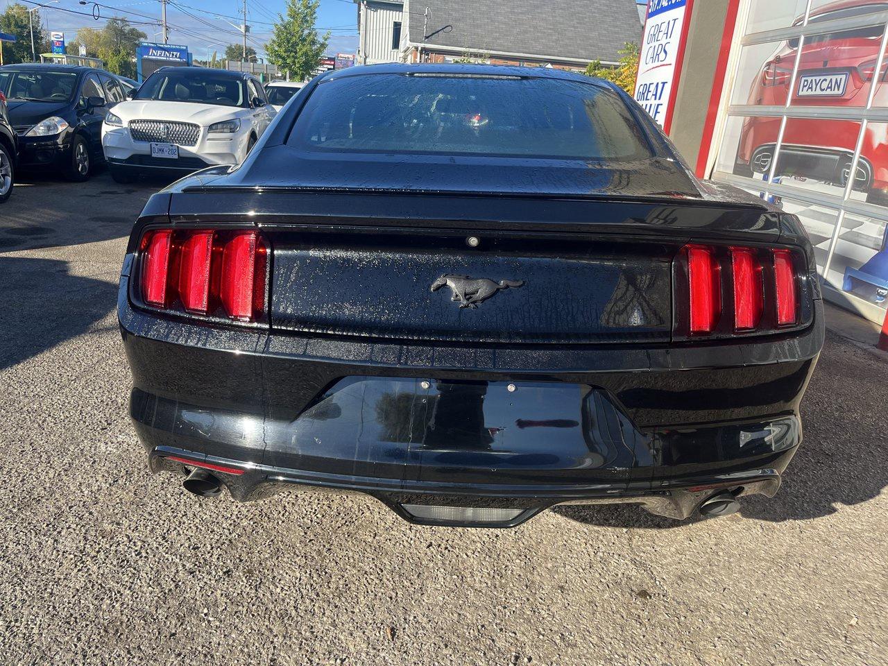 2017 Ford Mustang EcoBoost Photo