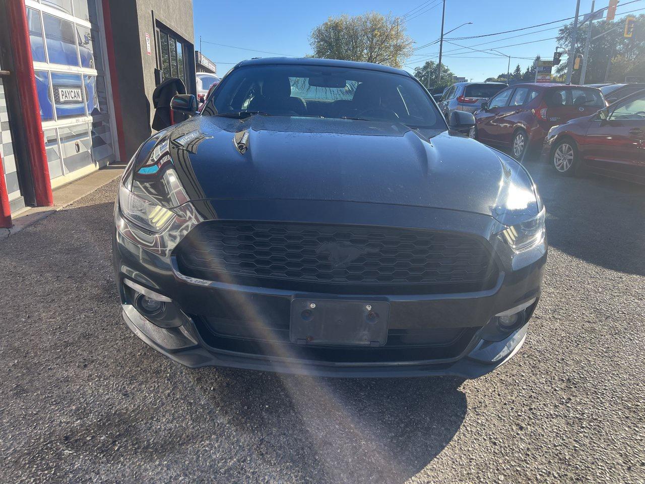 2017 Ford Mustang EcoBoost Photo1