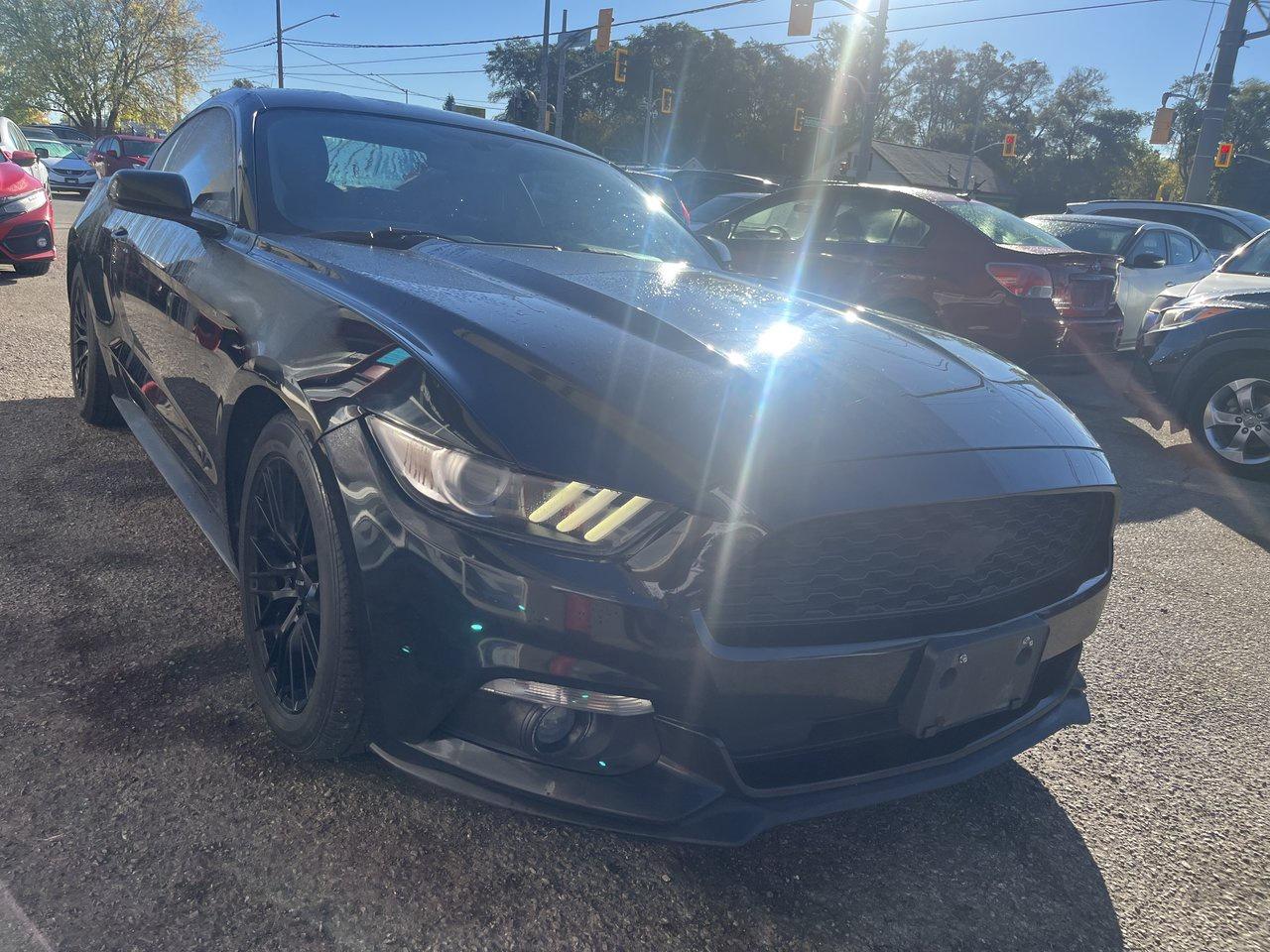 2017 Ford Mustang EcoBoost Photo