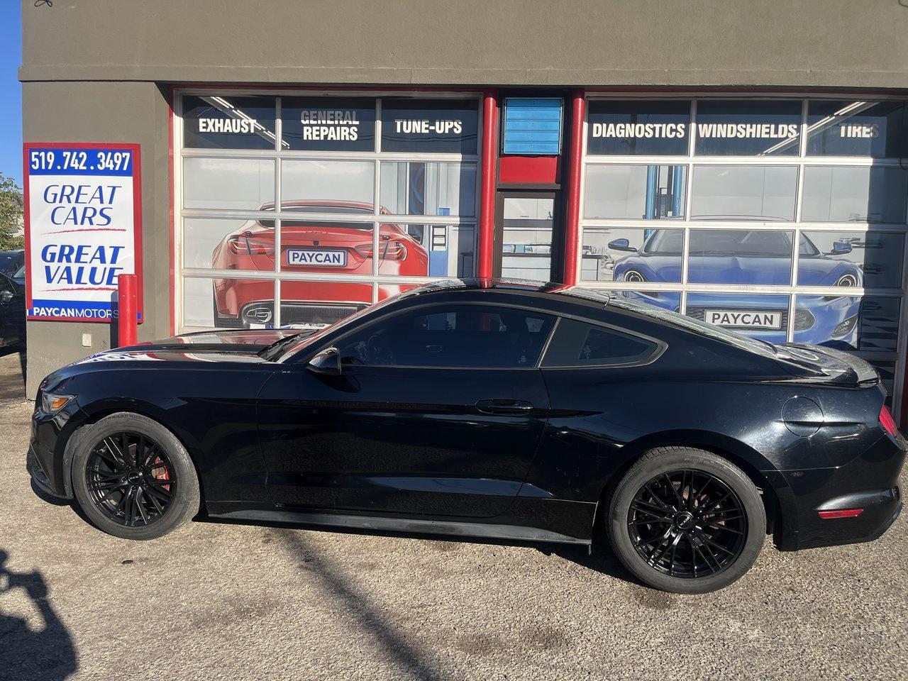 2017 Ford Mustang EcoBoost Photo