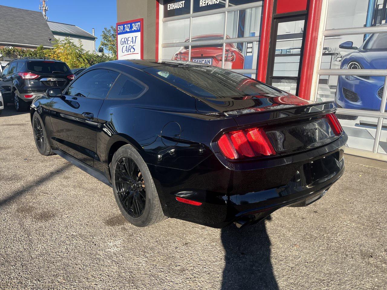 2017 Ford Mustang EcoBoost Photo