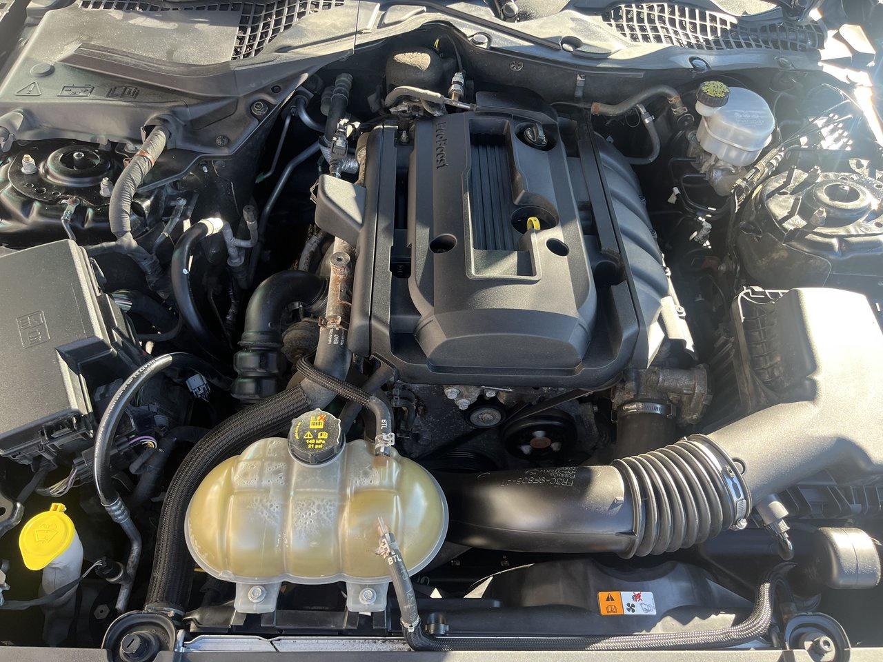 2017 Ford Mustang EcoBoost Photo