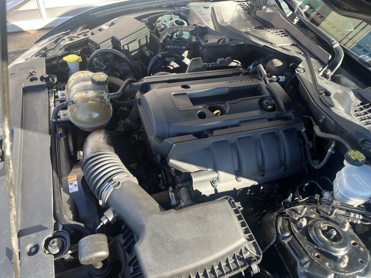 2017 Ford Mustang EcoBoost Photo