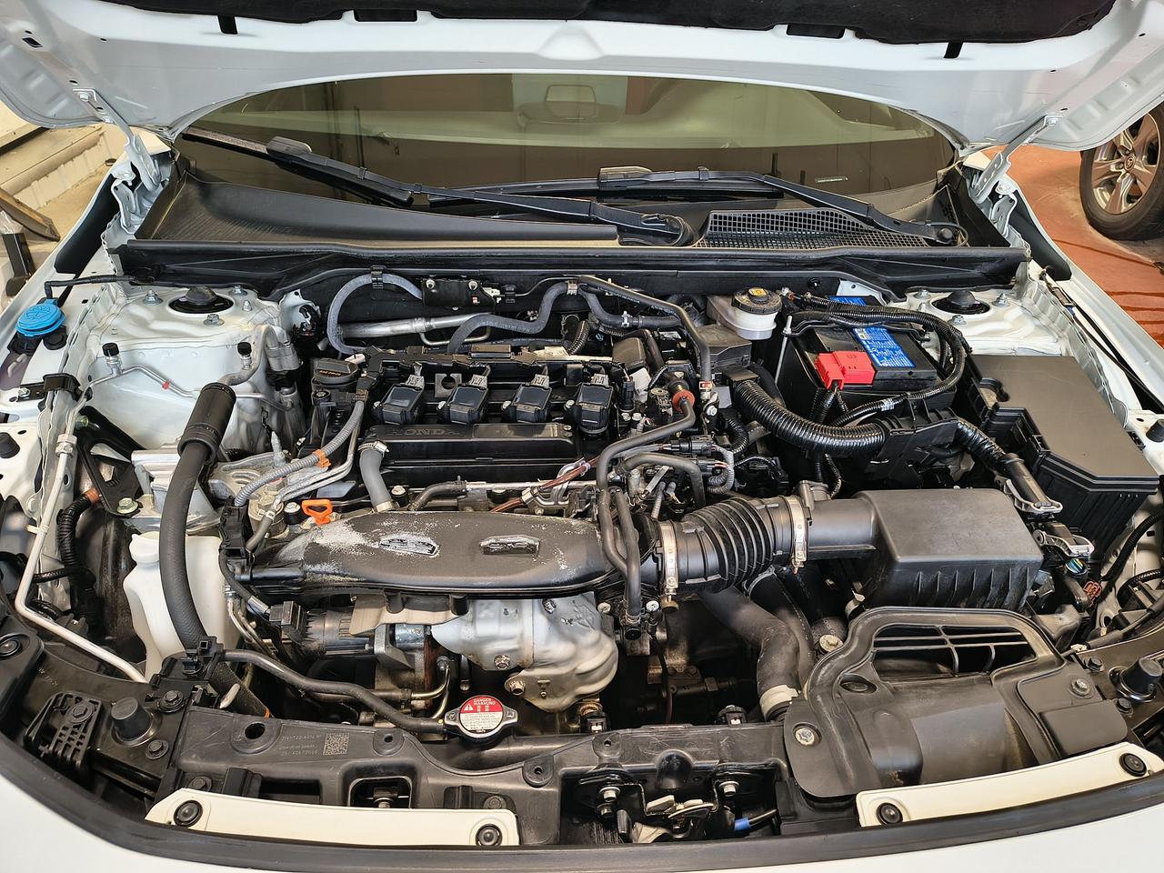 2024 Honda Civic SI Photo0