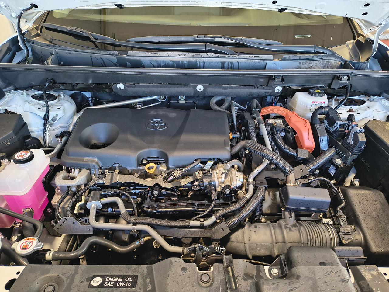 2024 Toyota RAV4 Hybrid XLE Photo0