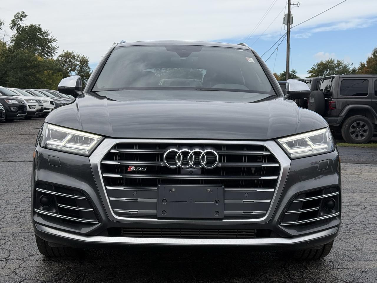 2018 Audi SQ5 Technik Photo