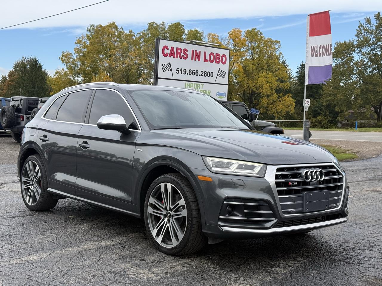 2018 Audi SQ5 Technik Photo0