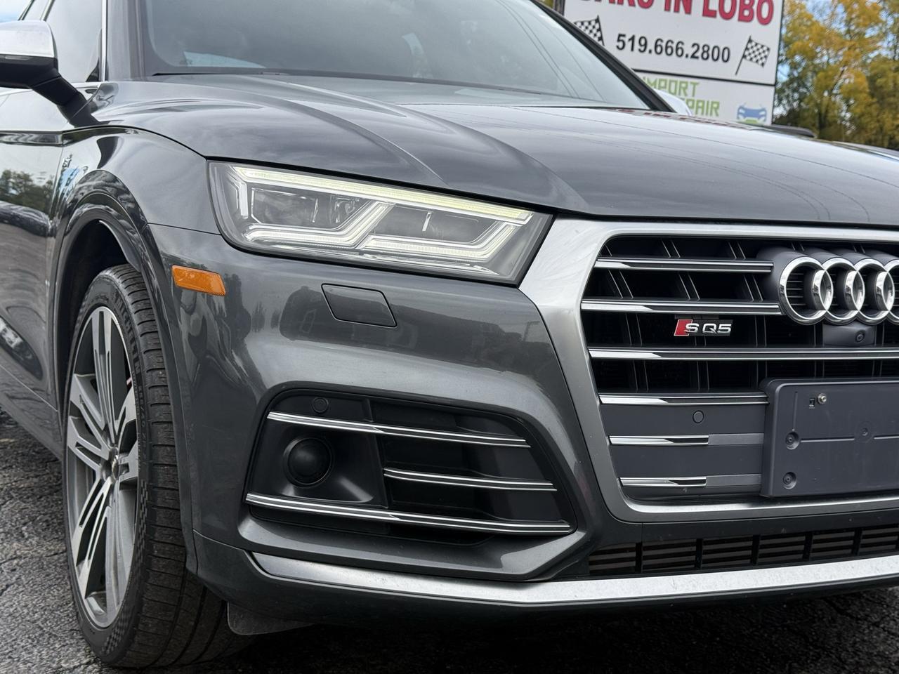 2018 Audi SQ5 Technik Photo