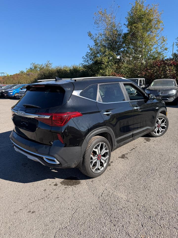 2022 Kia Seltos SX Turbo Photo4