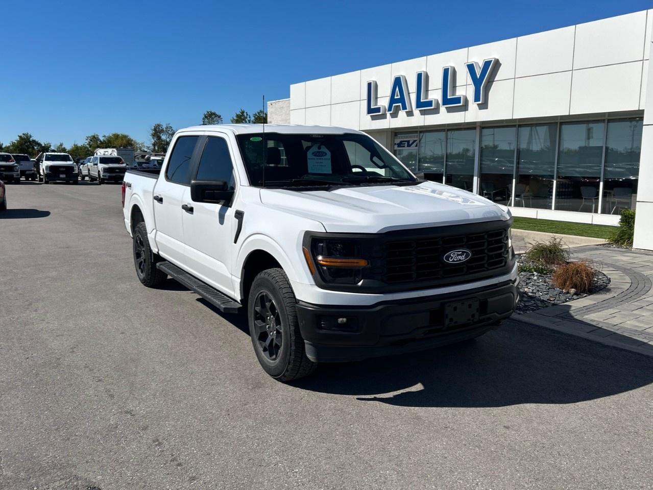 2024 Ford F-150 STX 4WD SuperCrew 5.5' Box Photo