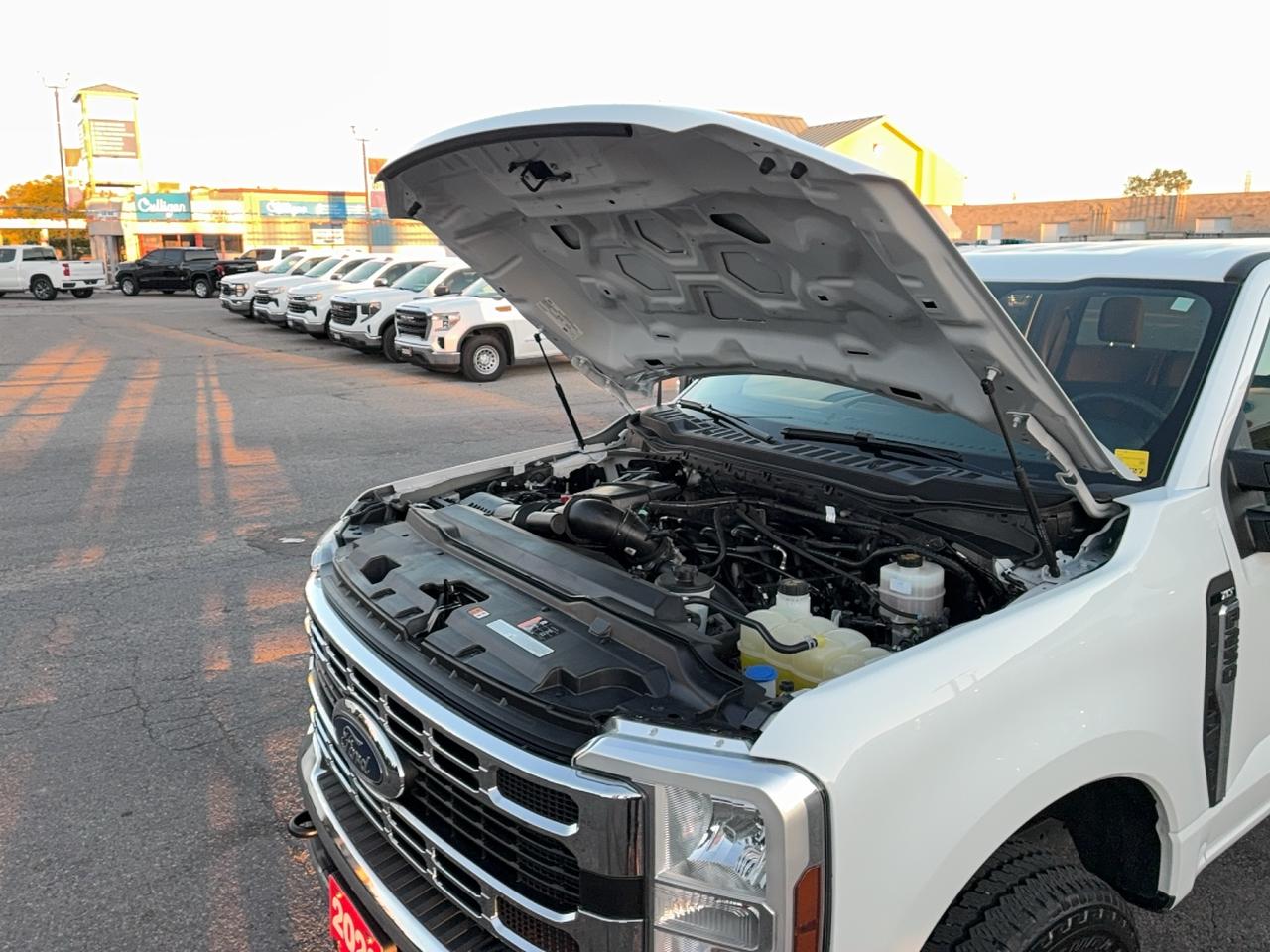 2026 Ford SUPER DUTY F-250 SRW XLT 4WD Crew Cab 7.3L8cylGas 6.75' Box Photo