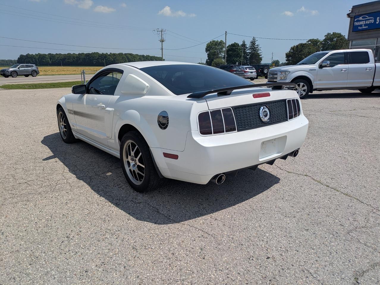 2007 Ford Mustang GT / CS Photo2