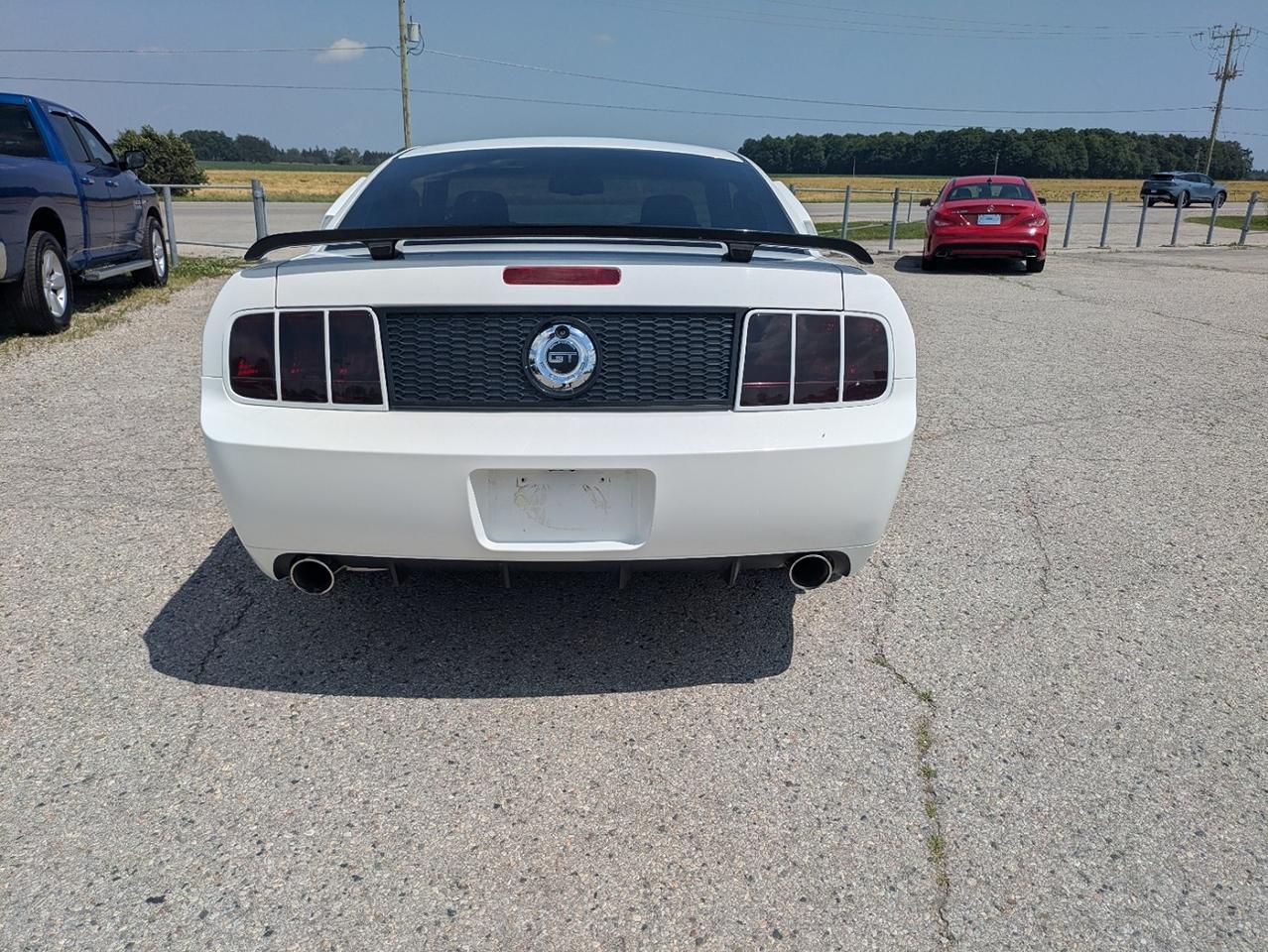 2007 Ford Mustang GT / CS Photo