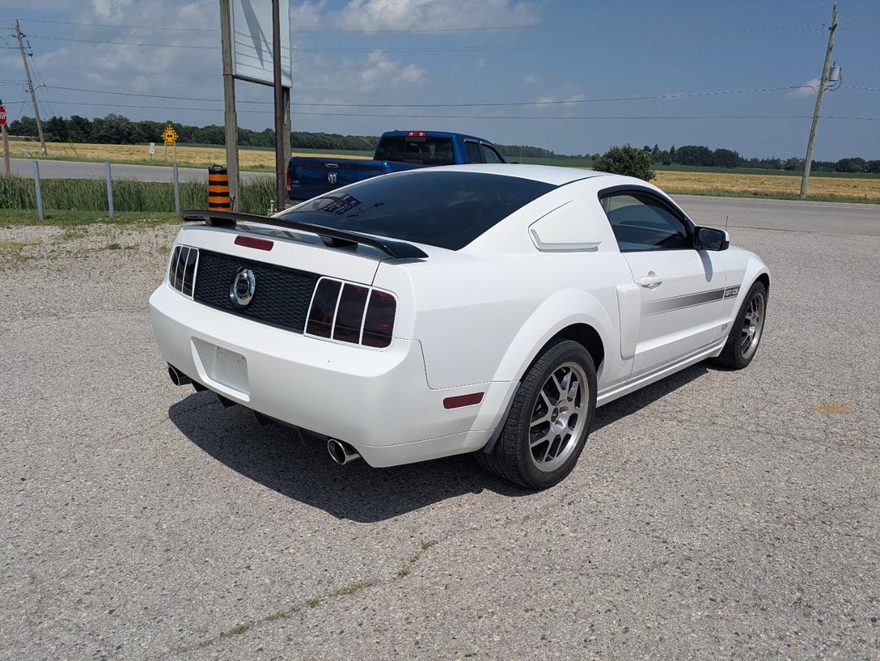 2007 Ford Mustang GT / CS Photo