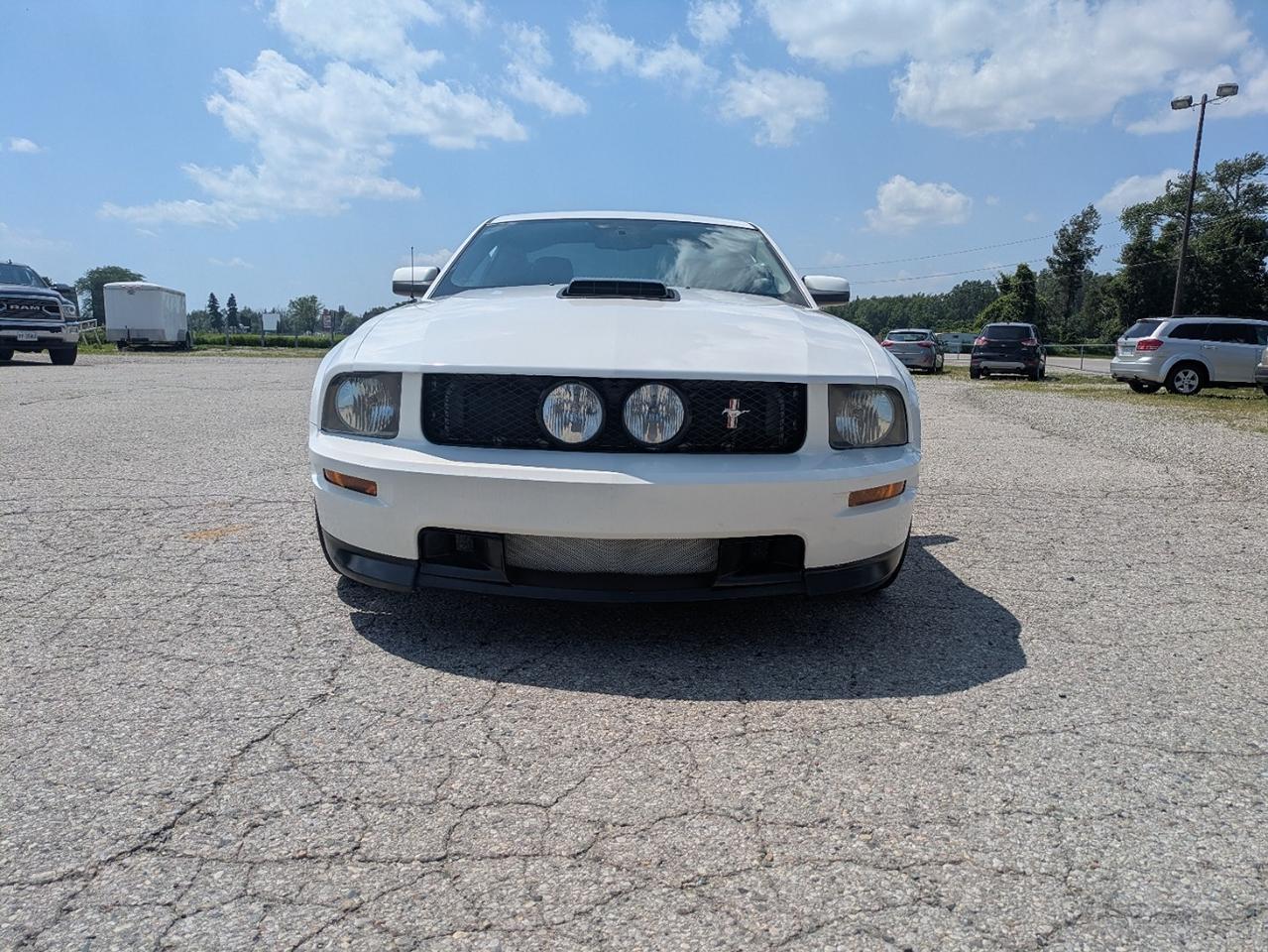 2007 Ford Mustang GT / CS Photo
