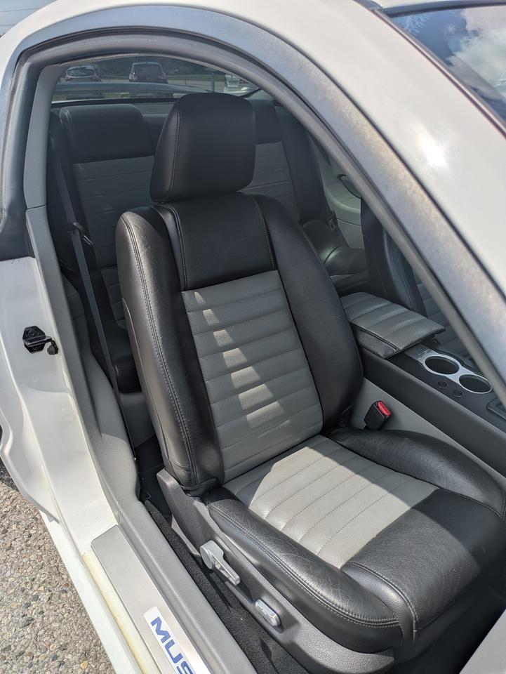 2007 Ford Mustang GT / CS Photo