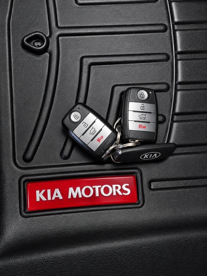 2018 Kia Soul EX  Auto Photo