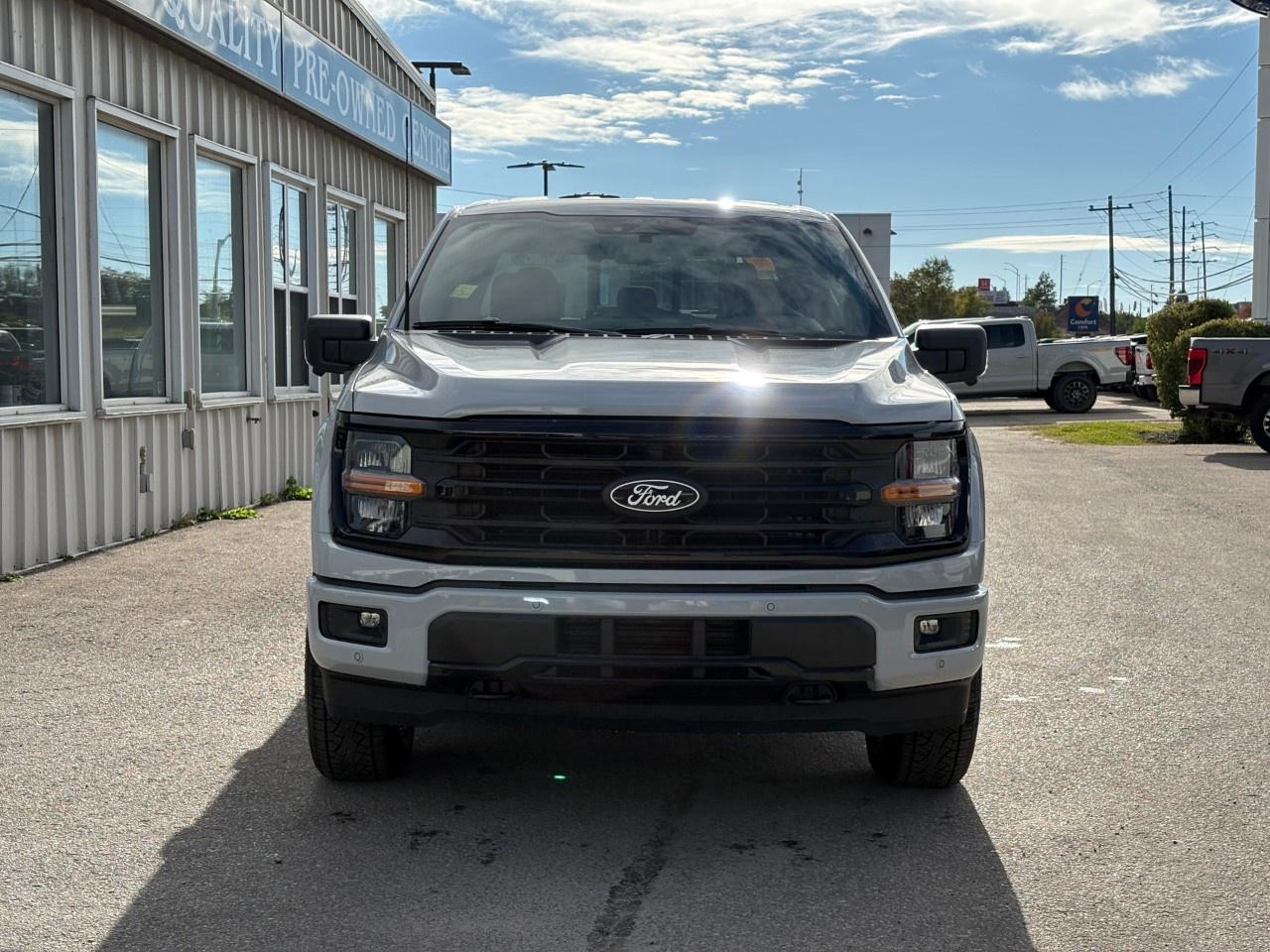2026 Ford F-150 XLT 4WD SuperCrew 5.5' Box Photo