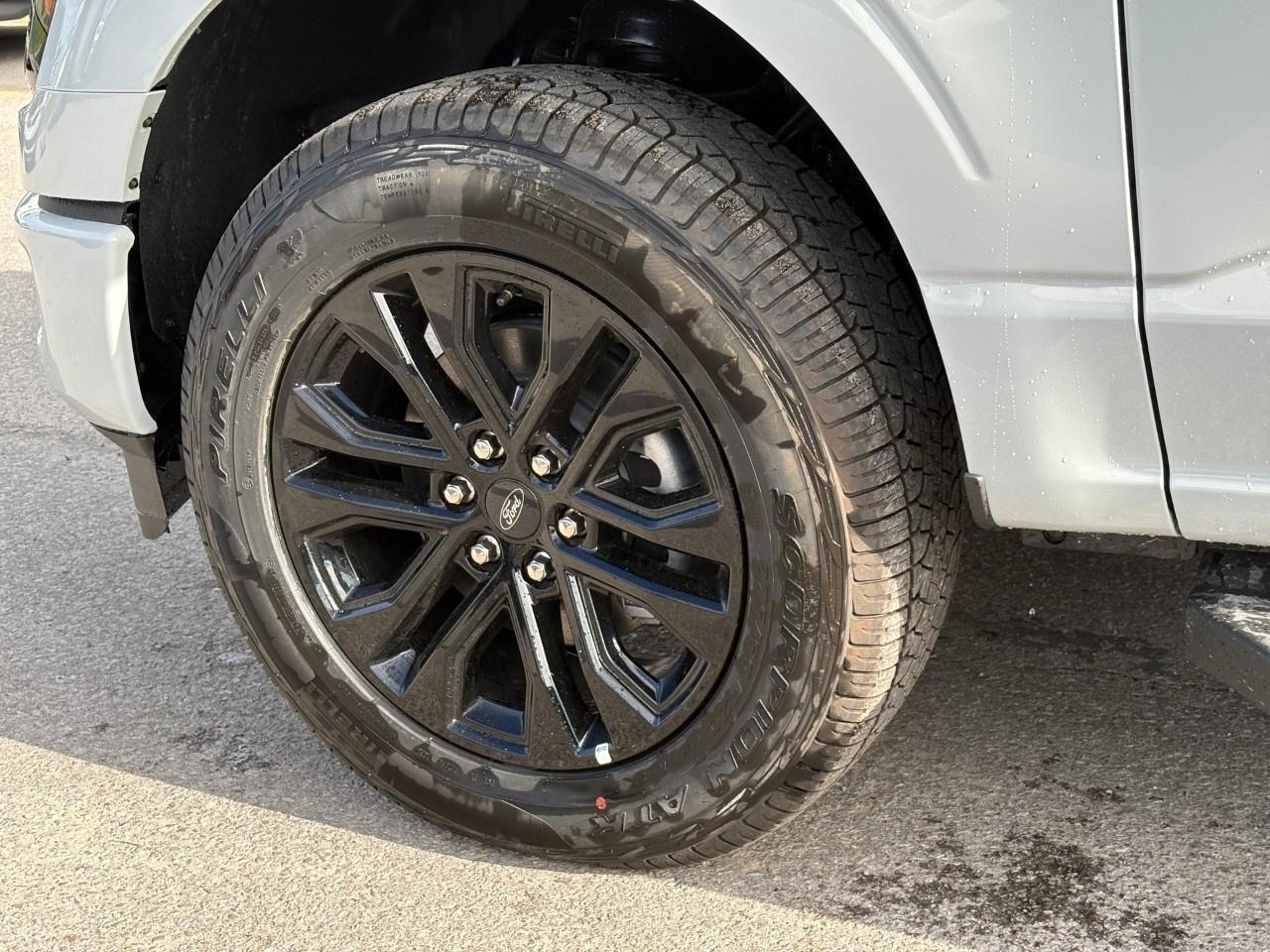 2026 Ford F-150 XLT 4WD SuperCrew 5.5' Box Photo
