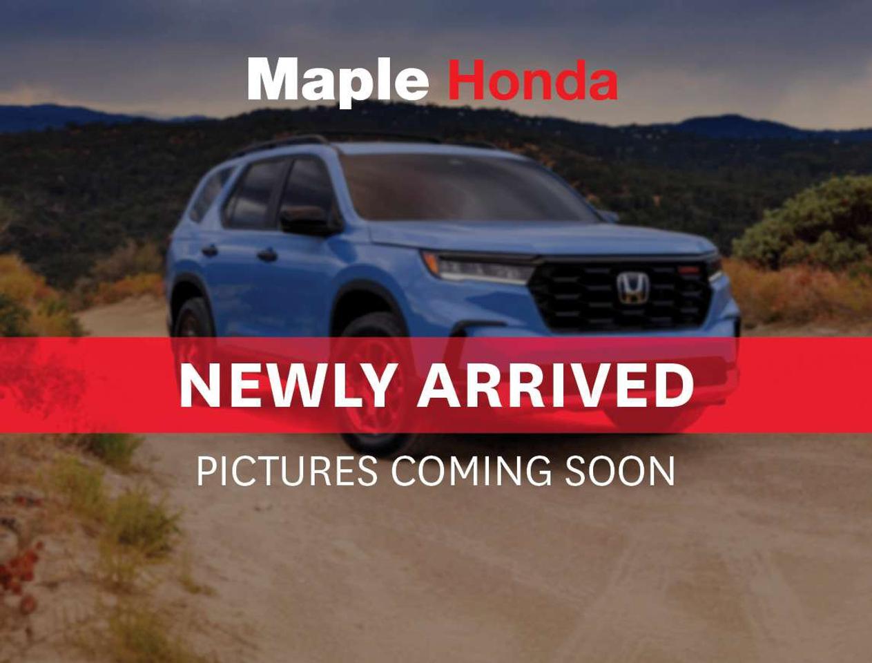 2022 Honda Pilot Leather Seats| Sunroof| Heated Seats| Auto Start| Photo0