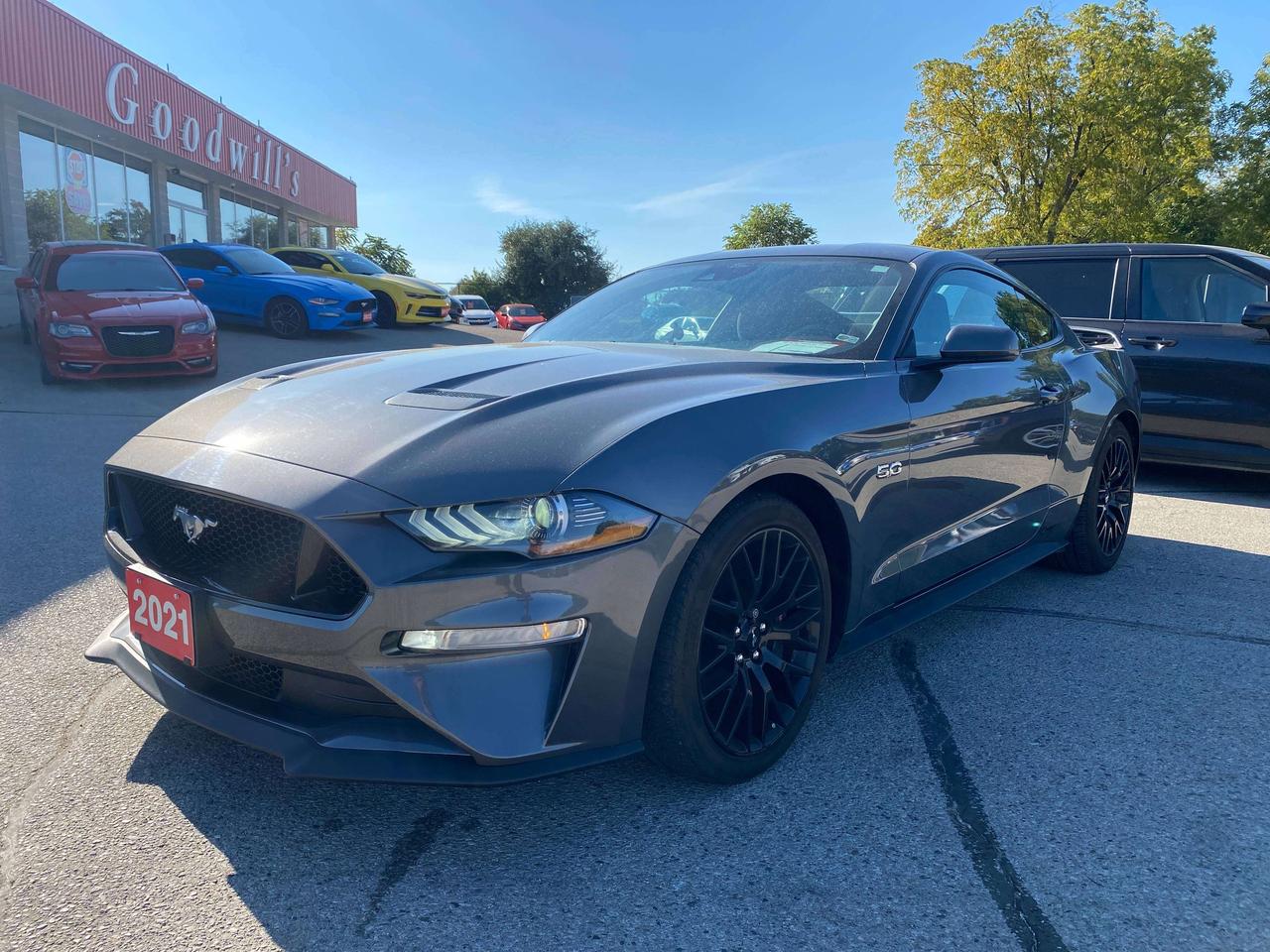 2021 Ford Mustang GT, 5 LITER, 6 SPEED MANUAL, 91 000 KMS! Photo