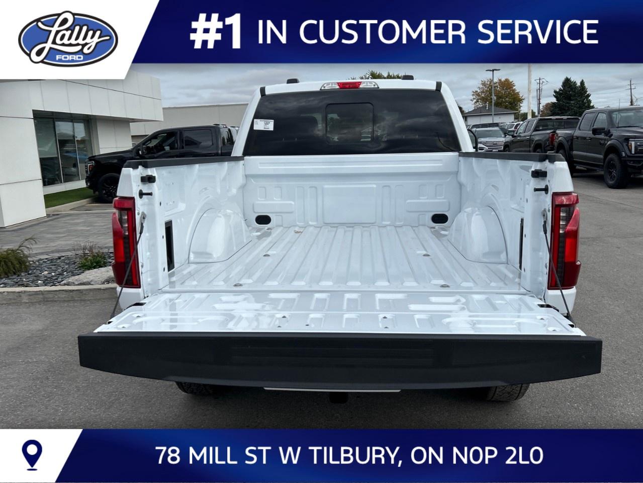 2026 Ford F-150 XLT 4WD SuperCrew 6.5' Box Photo